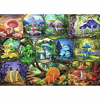 Beautiful Mushrooms - 1000 Pieces