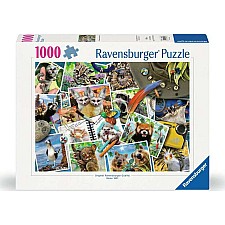 A Traveler's Animal Journey - 1000 Pieces