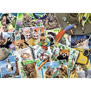 A Traveler's Animal Journey (1000 Piece Puzzle)