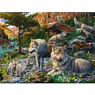 1500 pc Wolves in Spring 