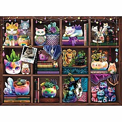 Cubby Cats and Succulents