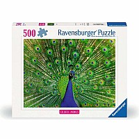 500 pc- Peacock Puzzle 