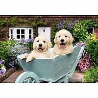 Golden Retriever Puzzle (200 pc)