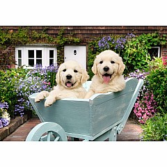 Golden Retriever Puzzle (200 pc)