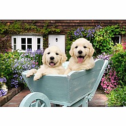 Golden Retriever Puzzle (200 pc)