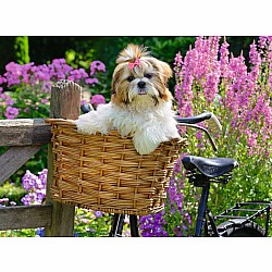 Sweet Little Dog 100 Pc Puzzle