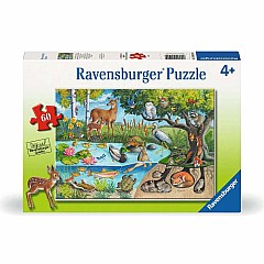 Animals Above and Below 60 Pc Puzzle