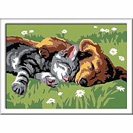 CreArt:Sleeping Cat and Dog 5x7