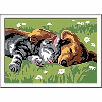 CreArt:Sleeping Cat and Dog 5x7