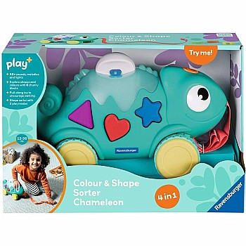 Color & Shape Sorter: Chameleon