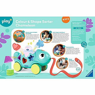 Color & Shape Sorter: Chameleon*