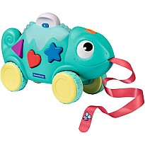 Color & Shape Sorter: Chameleon*