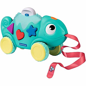 Color & Shape Sorter: Chameleon