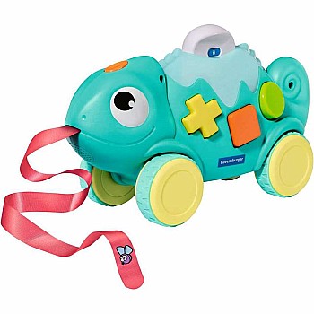 Color & Shape Sorter: Chameleon