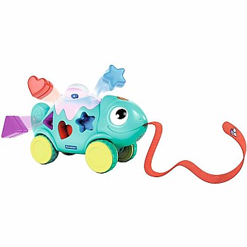 Color & Shape Sorter: Chameleon