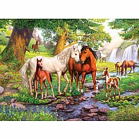  300 Pc Horses By The Stream