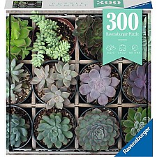 Green Succulent - 300 Pieces