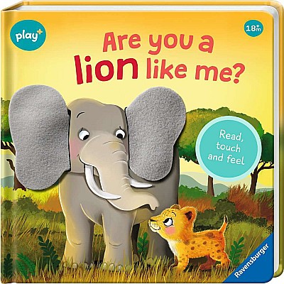 Book: Are You A Lion Like Me?