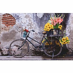 Puzzle Moments: Bicycle (200 pc Puzzles)
