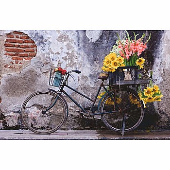 Puzzle Moments: Bicycle (200 pc Puzzles)