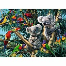 500 Piece Puzzle, Koalas in a Tree