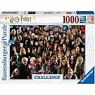1000 Piece Puzzle, Harry Potter Challenge
