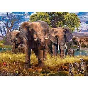 Elephants 500Pc Puzzle