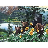 Sunflower Bears
