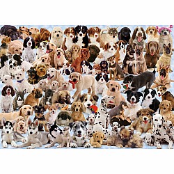 Dogs Galore 1,000 pc. Puzzle
