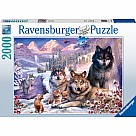 2000 Piece Puzzle, Wolves in the Snow