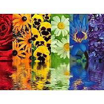 Floral Reflections 500 pc