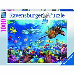1000pc Puzzle - Snorkeling
