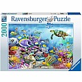 Coral Reef Majesty 2000 pc Puzzle