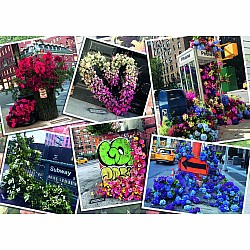 Ravensburger "NYC Flower Flash" (1000 Pc Puzzle)