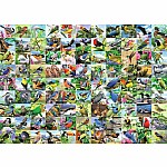 300pc 99 Delightful Birds Large Format Puzzle