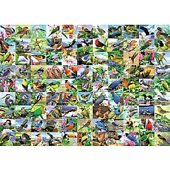 99 Delightful Birds (300 pc Large Format Puzzle)