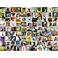 99 Lovable Dogs (750 pc Large Format Puzzle)