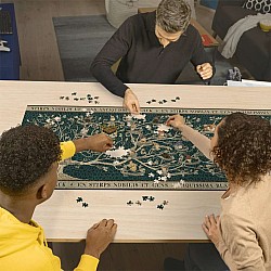 Ravensburger "Harry Potter Family Tree Panorama" (2000 Pc Puzzle)