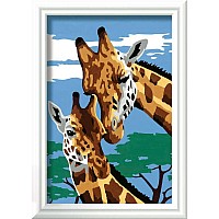 Cute Giraffes