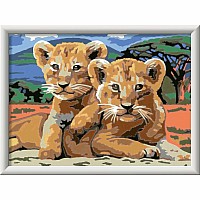 Little Lion Cubs