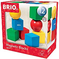 BRIO Magnetic Blocks