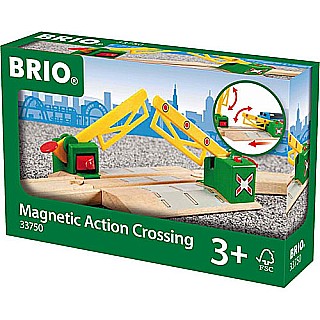 Magnetic Action Crossing