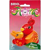 BRIO Flora: Zinnia & Peach