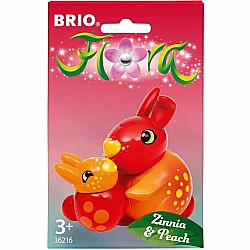 BRIO Flora: Zinnia & Peach