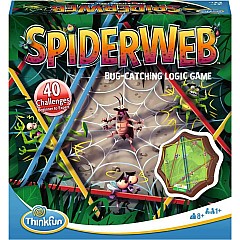 Spider Web game