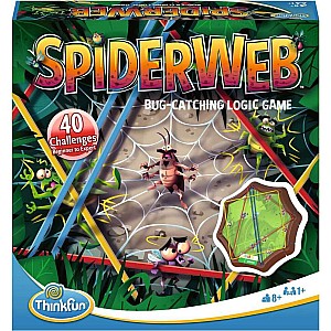 Spider Web game