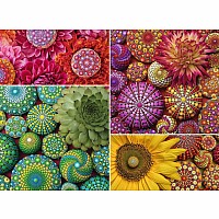 Color Your World Series — Mandala Blooms