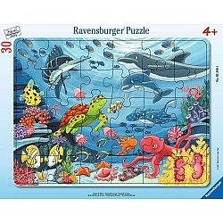 24-30pc Frame Puzzle (assorted)