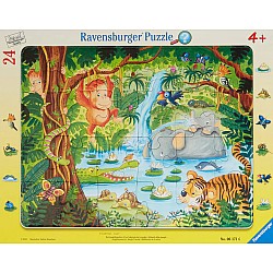 24-30pc Frame Puzzle (assorted)