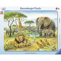 24-30pc Frame Puzzle (assorted)